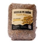 Miceliu de Pholiota Adiposa pe grâne (1kg)