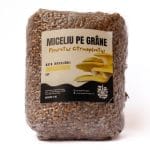 Miceliu de Pleurotus Auriu pe grâne (1kg)