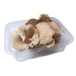 Ciuperci Pleurotus Pulmonarius - Caserola 250g
